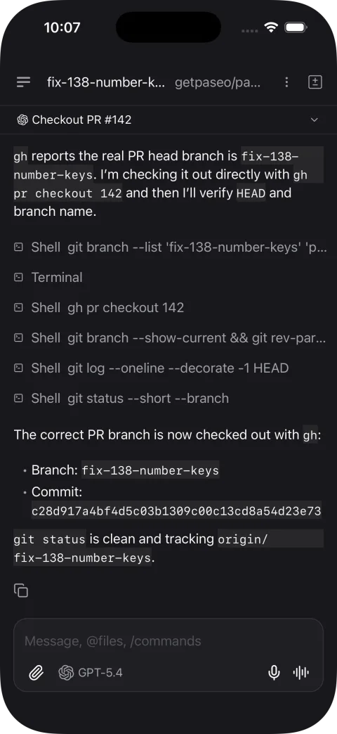Pier agent chat